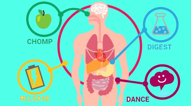 11 Best Ways to Accelerate your Metabolism