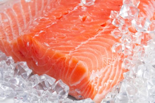 Protein Intake for loosing Weight
