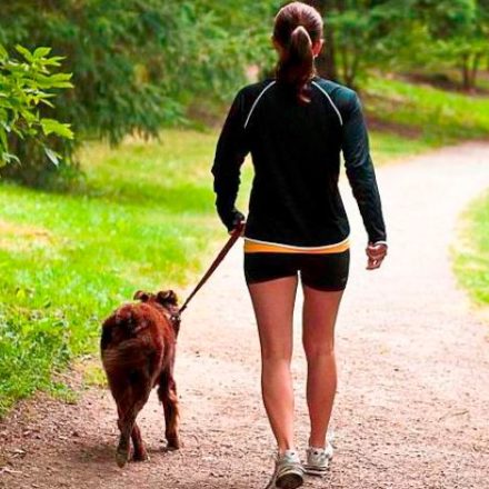 23 quick ways to lose weight in 2019