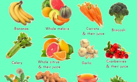 260 foods that will help you lose weight fast