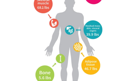 How to speed up your metabolism to lose weight in 2020?