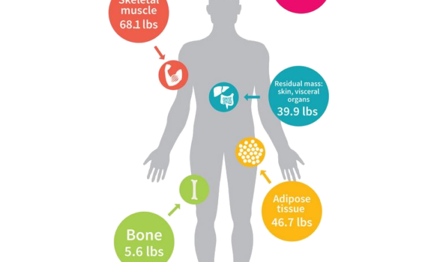 How to speed up your metabolism to lose weight in 2020?
