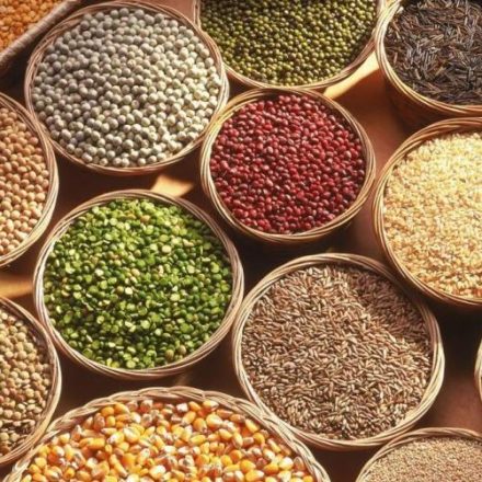 The best fat burning foods