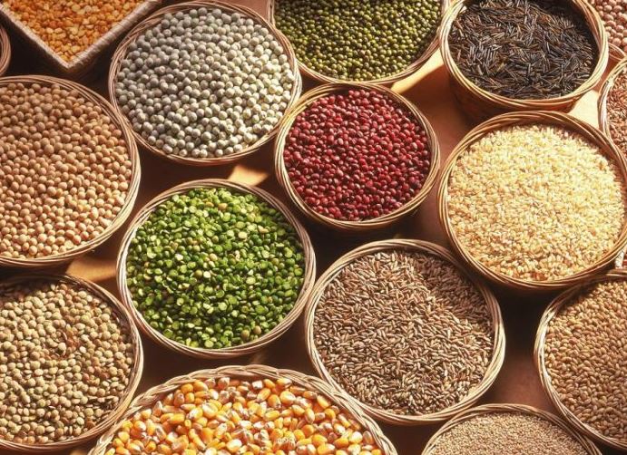 The best fat burning foods